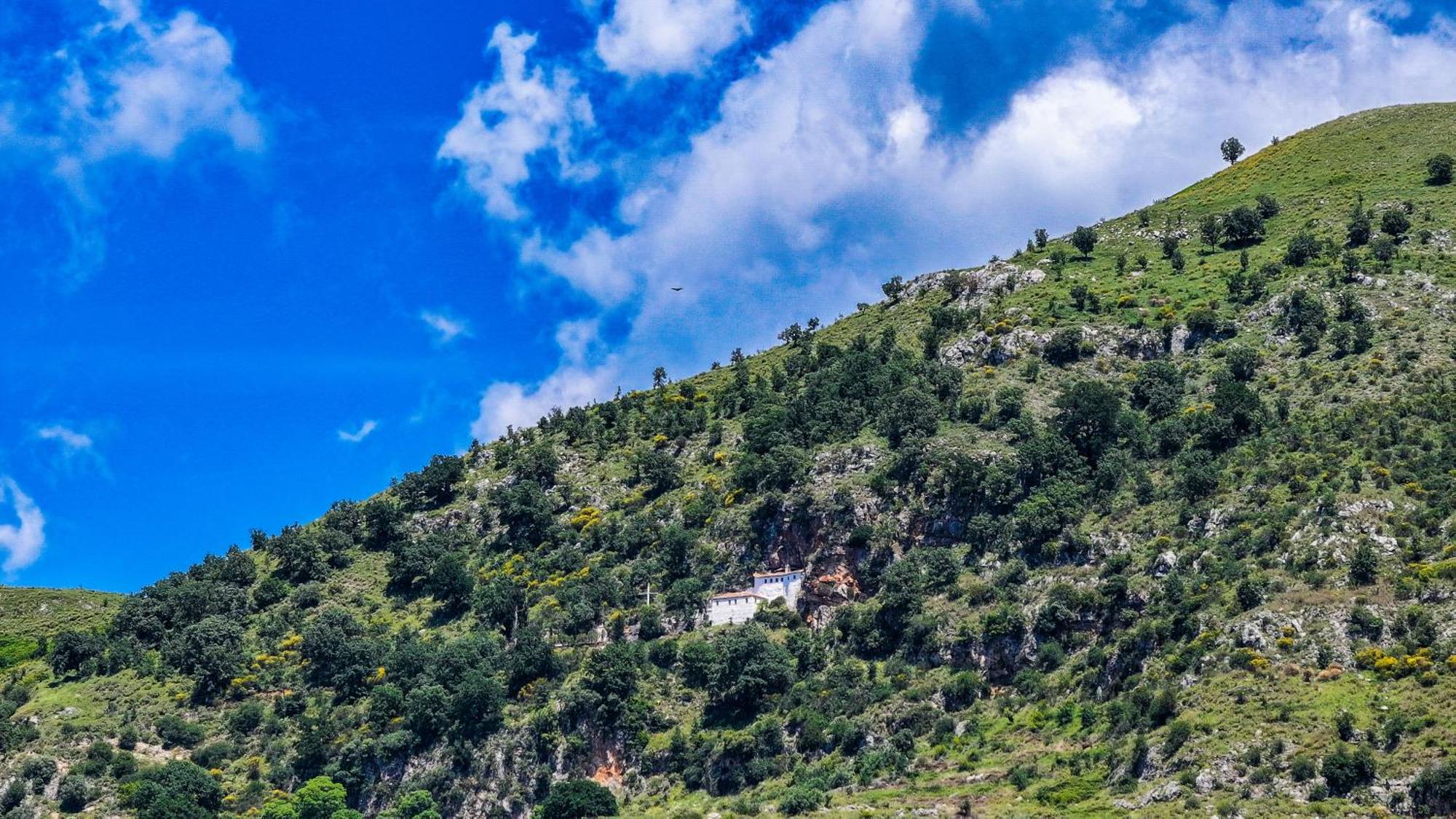 Готель Shena The Farm Boutique Mesopotam Номер фото